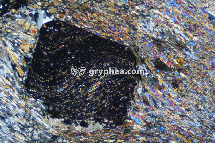 Schiste à grenats et glaucophane LPA x6,3 - gryphea.com